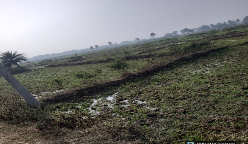  26 Dismil Residential Plot for Sale in Sherghati, Gaya