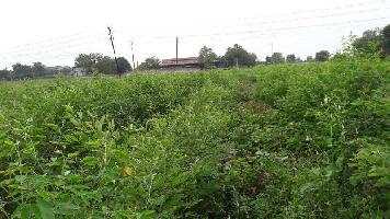  Commercial Land for Sale in Modasa, Aravalli