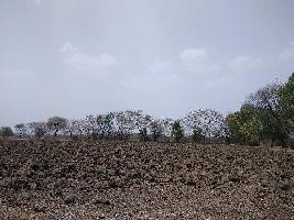  Agricultural Land for Rent in Shujalpur, Shajapur