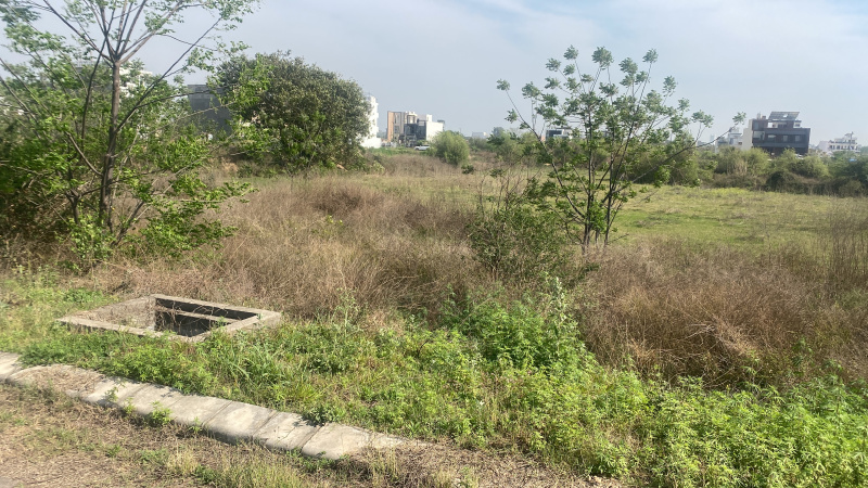  Residential Plot 388 Sq. Yards for Sale in Mullanpur Garibdass, Mohali