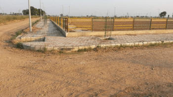  Residential Plot for Sale in Mullanpur, Mohali