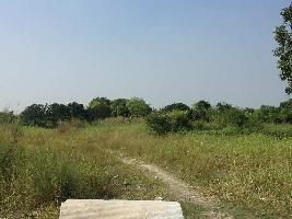  Industrial Land for Sale in Dankuni, Hooghly
