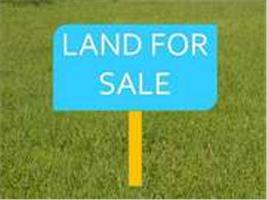 Agricultural Land for Sale in Sirta Road, Kaithal