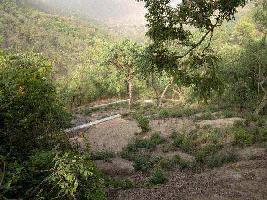  Commercial Land for Sale in Jeoly Kot, Nainital