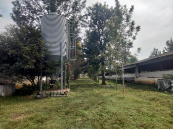  Agricultural Land for Rent in Doddaballapur, Bangalore