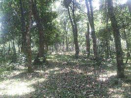  Agricultural Land for Sale in Adalur, Dindigul