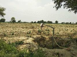  Agricultural Land for Sale in Kahnaur, Rohtak