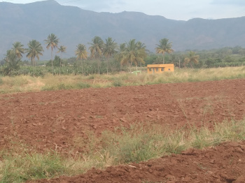  Agricultural Land for Sale in Kurangani, Bodinayakanur