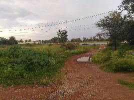  Agricultural Land for Sale in Marasandra, Bangalore