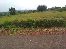  Agricultural Land for Sale in Angol, Belgaum