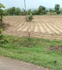  Agricultural Land for Sale in Saoner, Nagpur