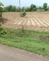  Agricultural Land for Sale in Parseoni, Nagpur