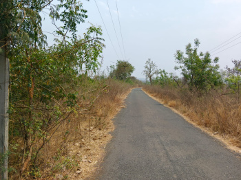  Agricultural Land for Sale in Hingna, Nagpur