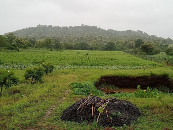  Agricultural Land for Sale in Kondhali, Nagpur
