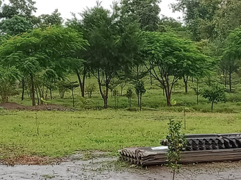  Agricultural Land for Sale in Bhandara Road, Nagpur