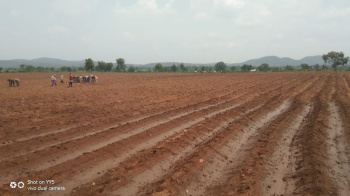  Agricultural Land for Sale in Narkhed, Nagpur