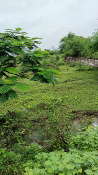  Agricultural Land for Sale in Kalamb, Yavatmal