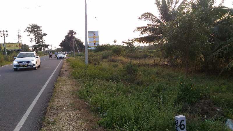 Agricultural Land 43600 Sq.ft. for Sale in Attayampatti, Salem