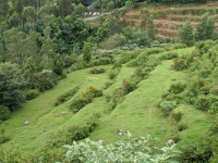  Residential Plot for Sale in Ketti, Ooty