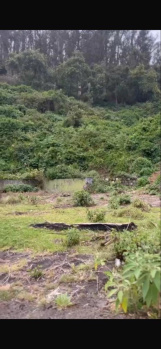  Agricultural Land for Sale in Coonoor, Nilgiris