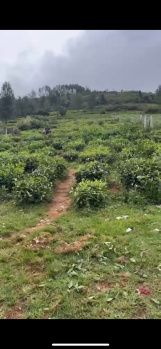  Residential Plot for Sale in Kotagiri, Nilgiris