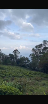  Residential Plot for Sale in Ketti, Nilgiris