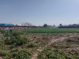  Agricultural Land for Rent in Sidcul NH 73, Haridwar