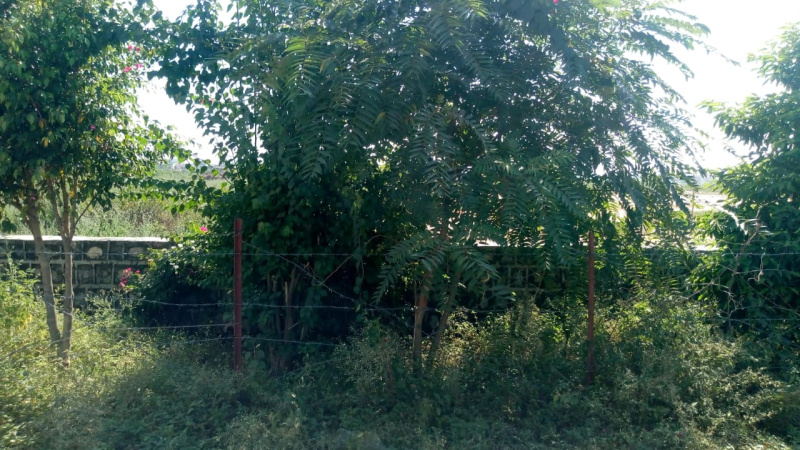  Residential Plot 1743 Sq.ft. for Sale in Inderlok Colony, Haridwar