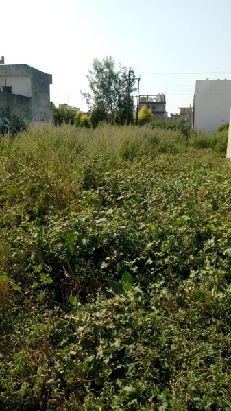  Residential Plot 900 Sq.ft. for Sale in Delhi Roorkee Highway, Haridwar