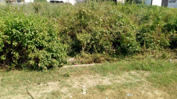  Commercial Land for Sale in Salempur Mehdood, Haridwar