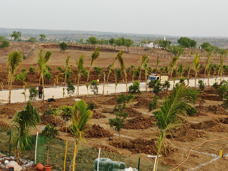  Residential Plot 303 Sq. Yards for Sale in Narayankhed, Sangareddy