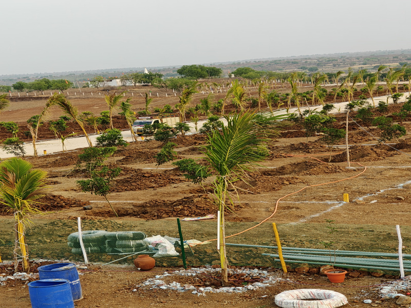  Residential Plot 303 Sq. Yards for Sale in Narayankhed, Sangareddy