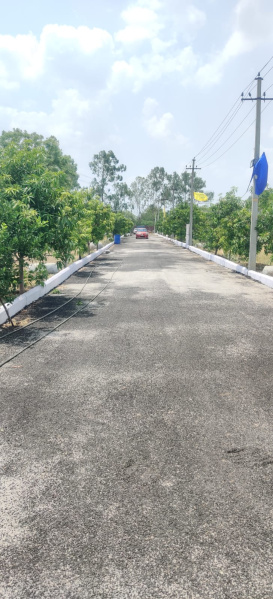  100 Sq. Yards Residential Plot for Sale in Boduppal, Hyderabad