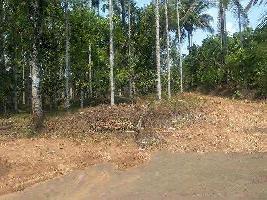  Residential Plot for Sale in Puttur, Mangalore