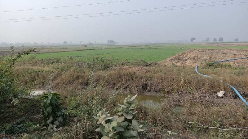 Agricultural Land 10 Bigha for Sale in Dahegam, Gandhinagar
