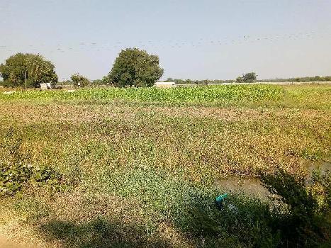 50 Acre Farm Land For Sale In Adikmet Hyderabad Rei788827