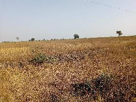  Agricultural Land for Sale in Adikmet, Hyderabad