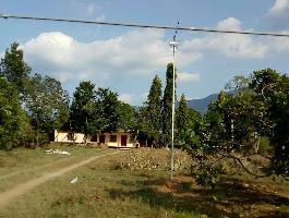  Agricultural Land for Sale in Cumbum, Theni