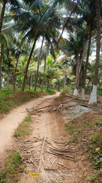  10000 Sq.ft. Agricultural/Farm Land for Rent in Periyakulam, Theni
