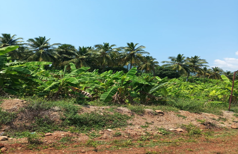  10000 Sq.ft. Agricultural/Farm Land for Rent in Periyakulam, Theni