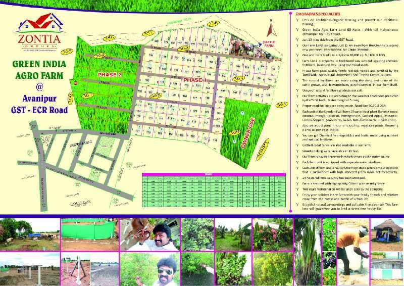 Agricultural Land 10000 Sq.ft. for Sale in Salamedu, Villupuram