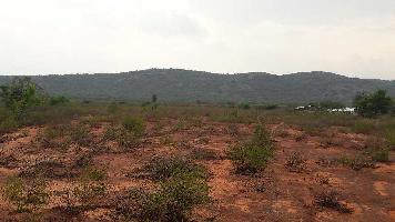  Residential Plot for Sale in Chinnamanur, Theni