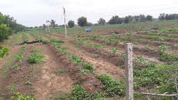  Agricultural Land for Sale in Bhilai Nagar, Durg