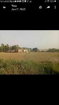  Agricultural Land for Sale in Sandila, Hardoi