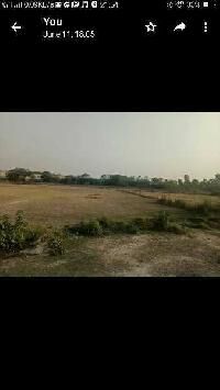  Agricultural Land for Sale in Sandila, Hardoi