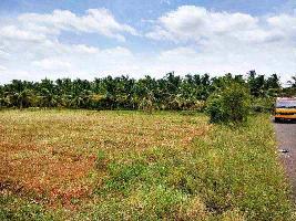  Agricultural Land for Sale in Modakurichi, Erode