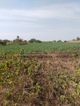  Agricultural Land for Sale in Unhel, Ujjain
