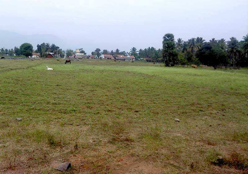 Agricultural Land 100 Acre for Sale in Sira, Tumkur