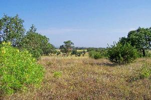  Residential Plot for Rent in Madampatti, Coimbatore
