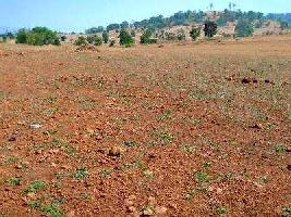  Residential Plot for Sale in Amba, Kolhapur